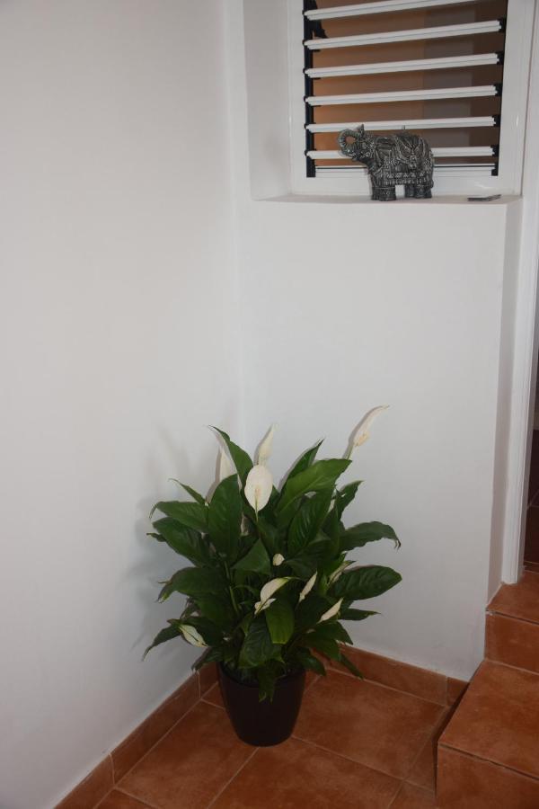 Garoe Acogedor Apartamento Araya  Bagian luar foto